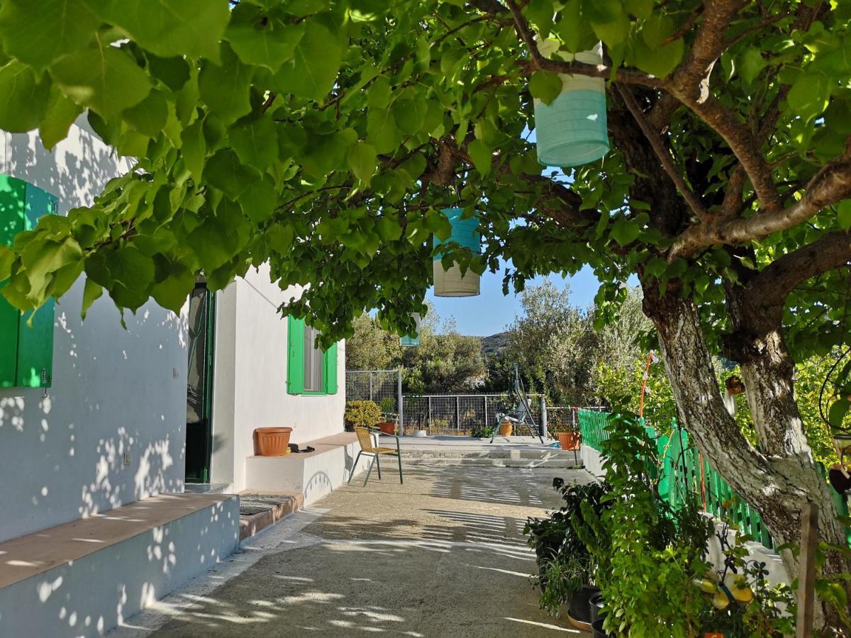 Maison De Village Au Calme - Alonia Village House Psinthos ภายนอก รูปภาพ