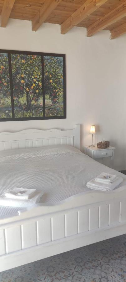 Maison De Village Au Calme - Alonia Village House Psinthos ภายนอก รูปภาพ