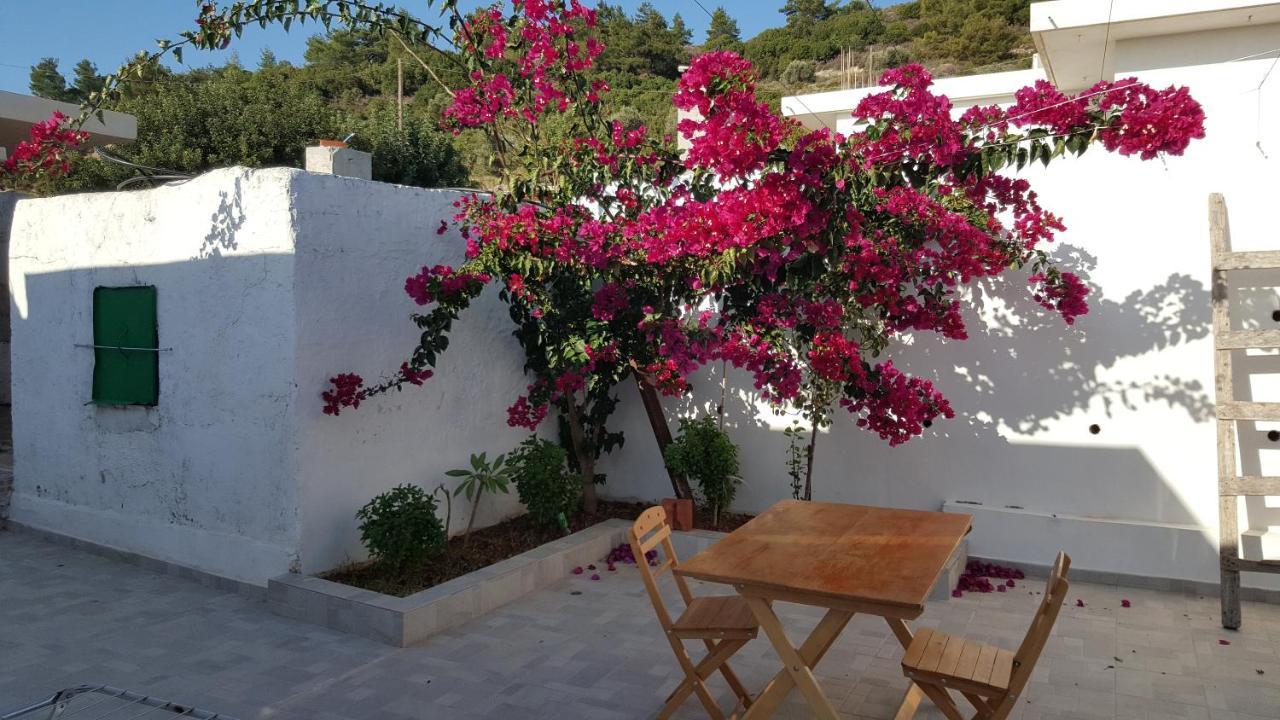 Maison De Village Au Calme - Alonia Village House Psinthos ภายนอก รูปภาพ